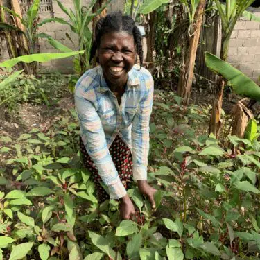 A Haitian woman wearing a plaid shirt and a dark skirt with red polka dots smiles brightly as she crouches in a home garden, tending to leafy green and reddish-purple plants. The garden is surrounded by banana trees and a cinder block wall in the background.