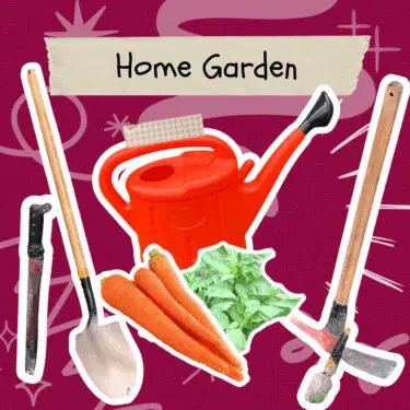 A graphic features various gardening items with white borders over a textured magenta background with abstract white doodles. Items include a large red watering can, a shovel, a machete, a pickaxe, three bright orange carrots, and a bunch of green leafy herbs. A torn piece of paper with the text "Home Garden" is overlaid at the top of the image.